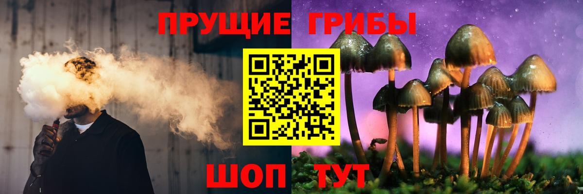 Псилоцибиновые грибы MAGIC MUSHROOMS  Галлюциногенные грибы прущие грибы  Ялуторовск  Вход с VPN 